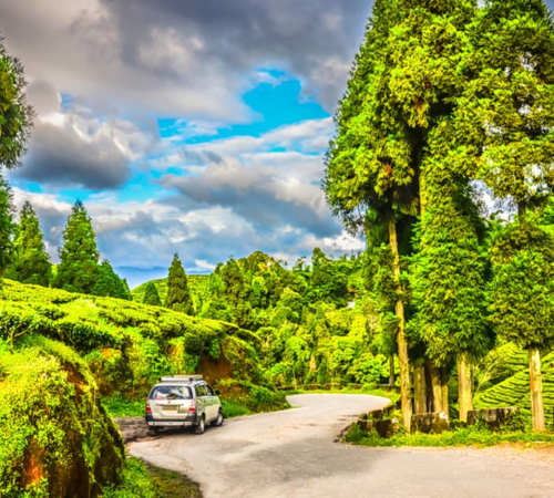 Delightful Darjeeling With Sikkim